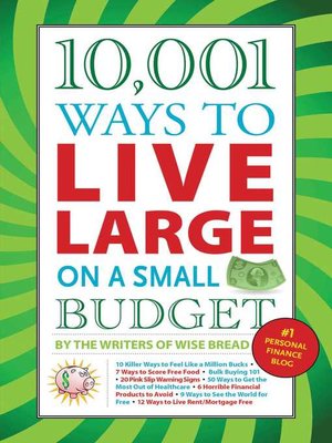 cover image of 10,001 Ways to Live Large on a Small Budget
